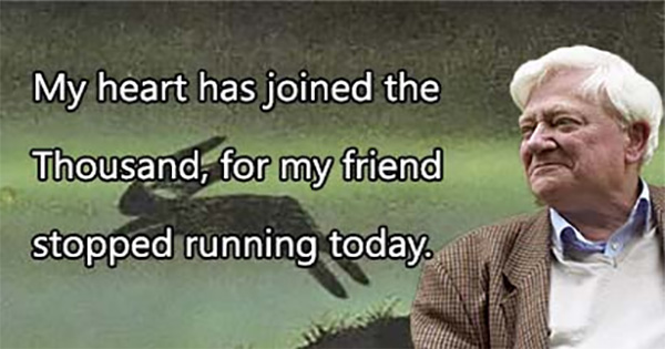 Richard Adams Quotes to Make You Think - For Reading Addicts