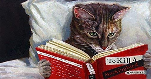 cats reading books